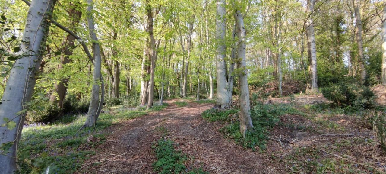 Gites 4,6 Personnes Fecamp Etretat Colleville Exterior photo