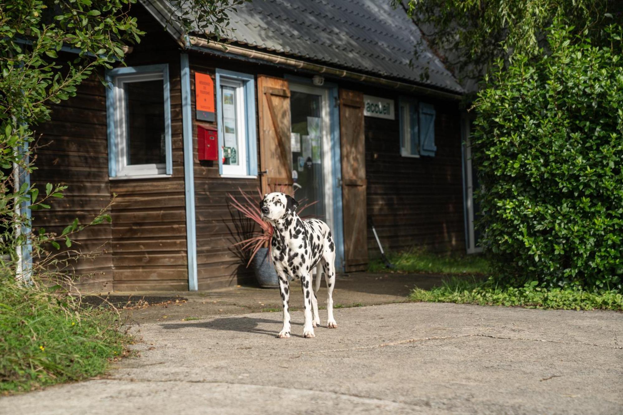 Gites 4,6 Personnes Fecamp Etretat Colleville Exterior photo